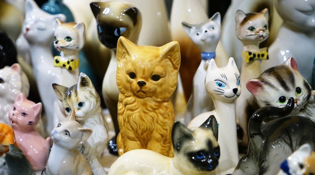 ¡Vivimos engañados! Los perros son más inteligentes que los gatos