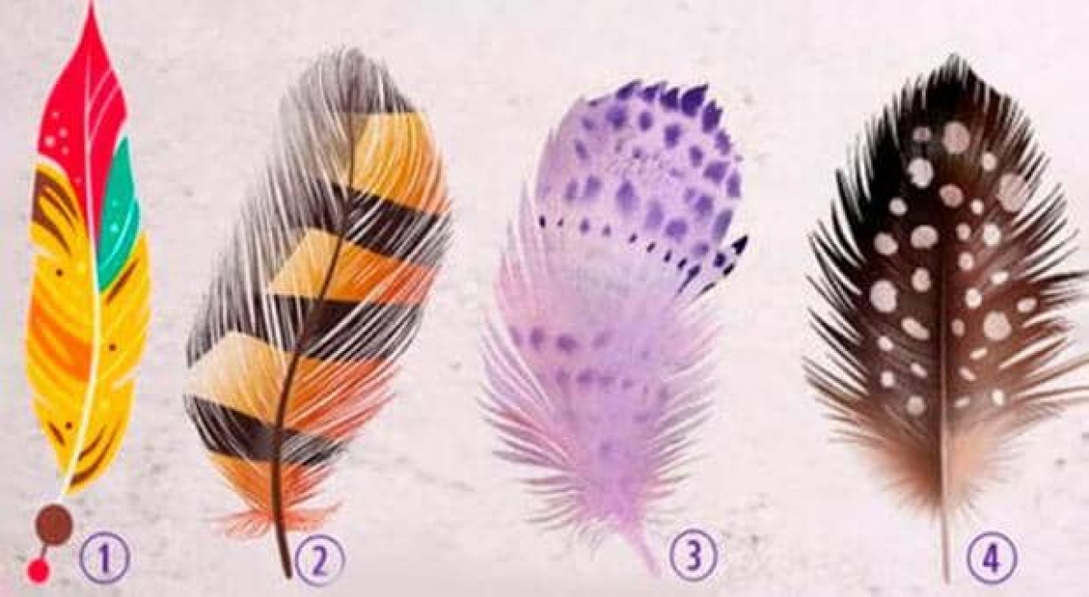 ¿Cuál es tu talento oculto? Elige una de las plumas y descúbrelo