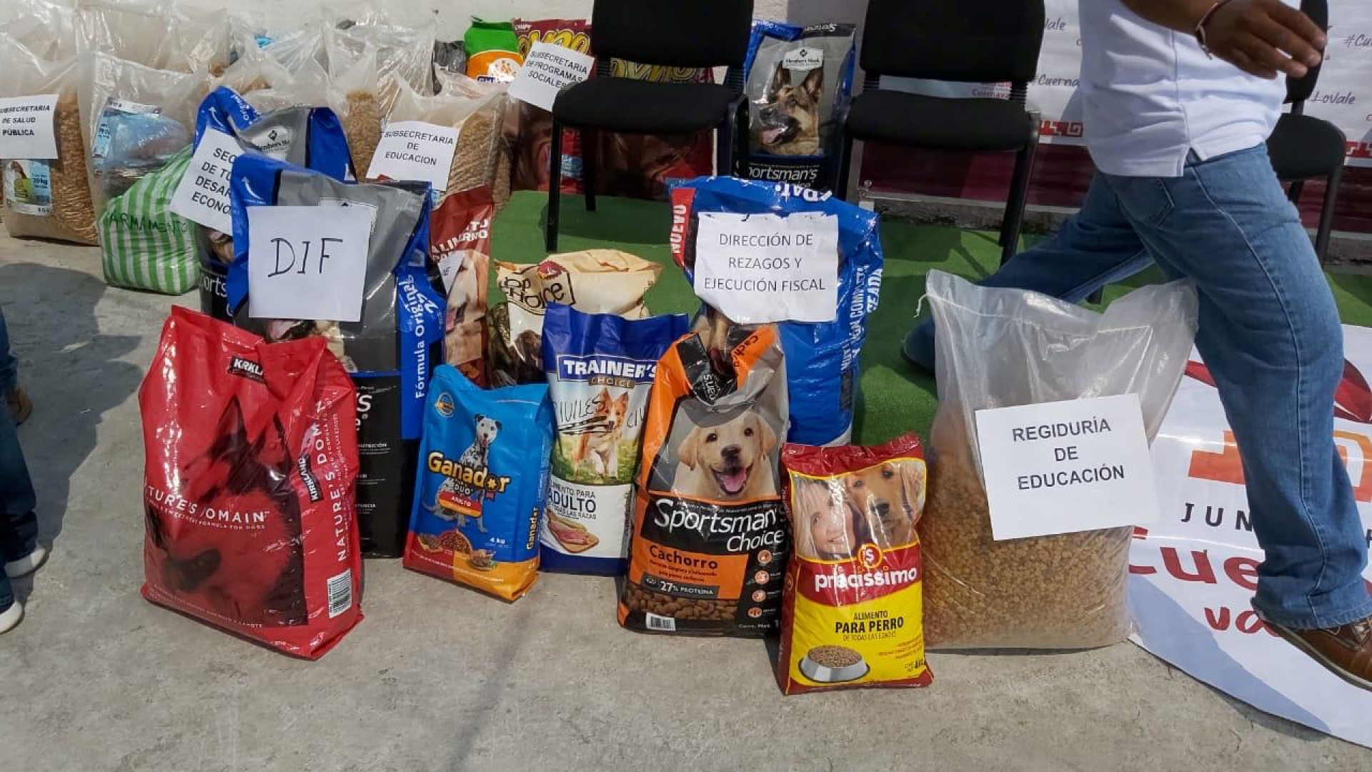 Rescate y adopción, en lugar de venta y maltrato animal en Cuernavaca: alcalde