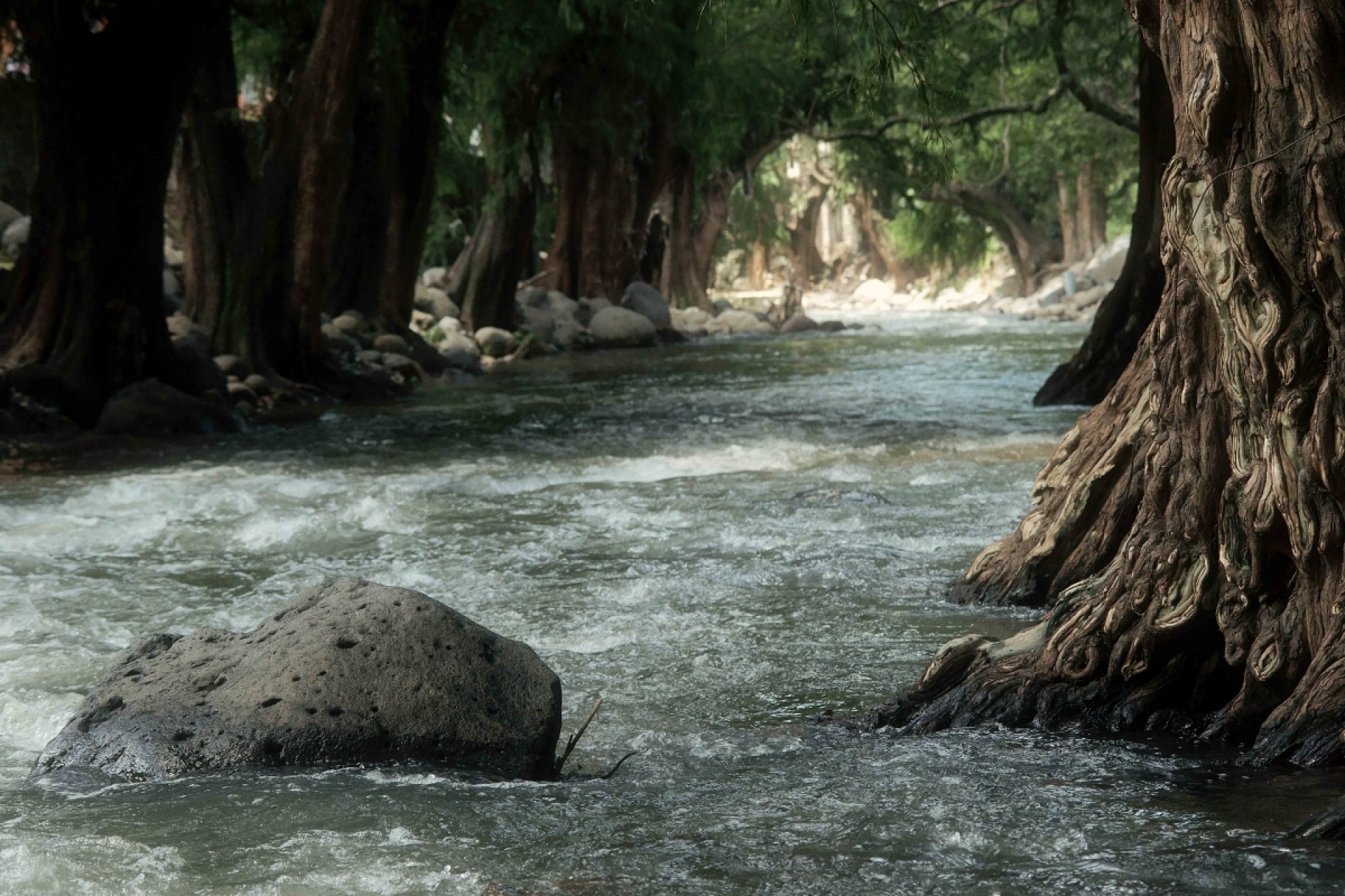 Ambientalistas recurren a un amparo para salvar el río Apatlaco