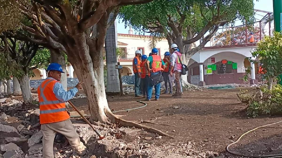 Buscan salvar árboles del zócalo de Cuautla