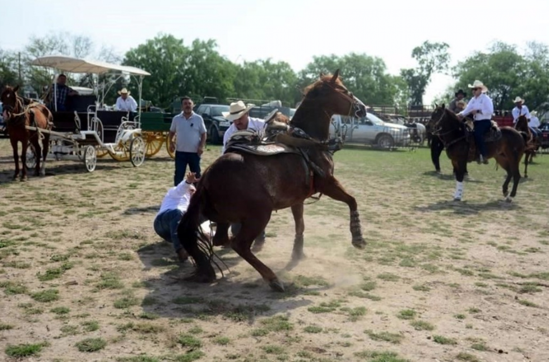 ¡Se enojo el potro! Diputado del PRI cae de caballo en Apodaca