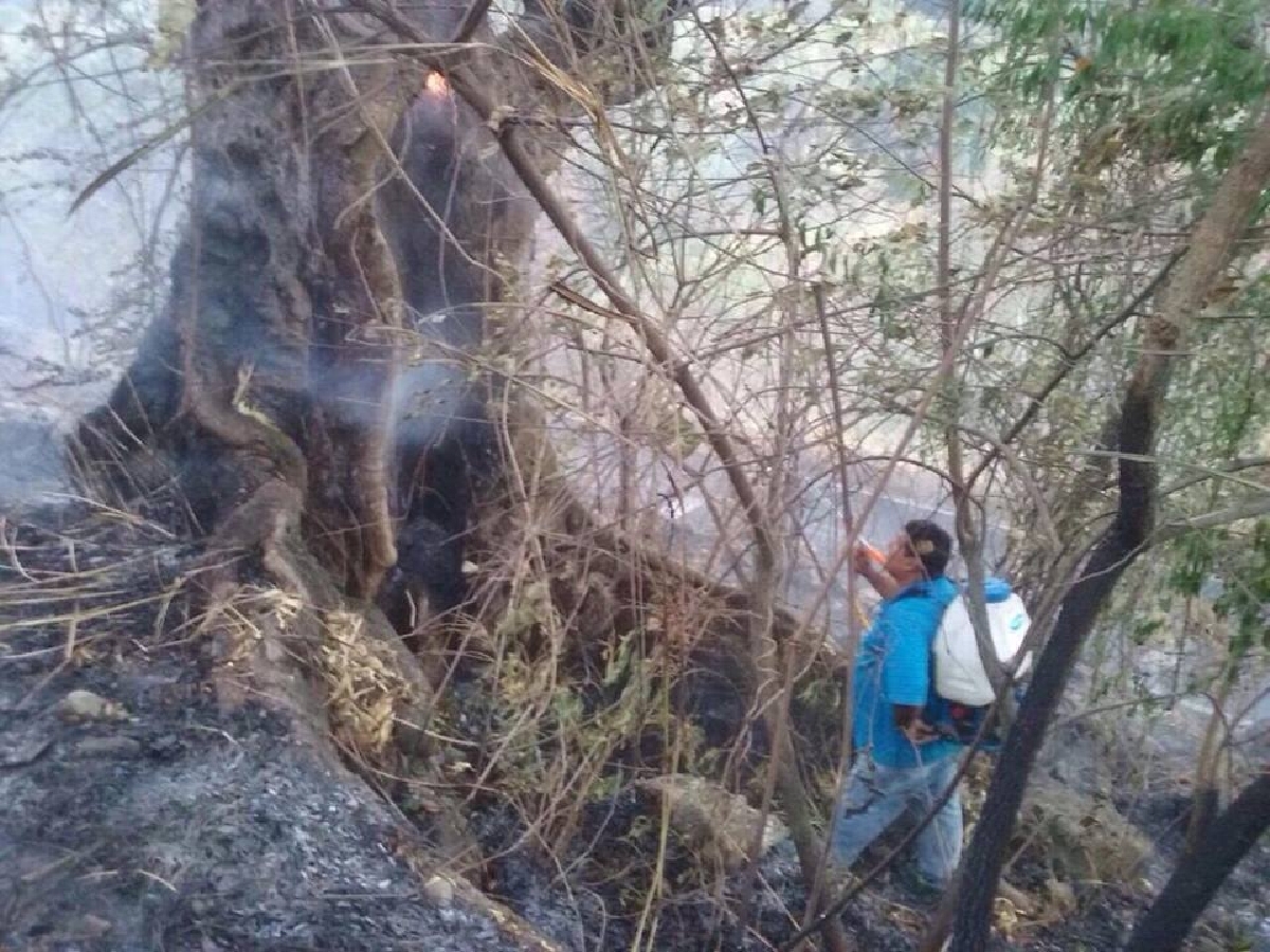 Necesario reforzar al personal y el equipo para atender incendios en Tetecala