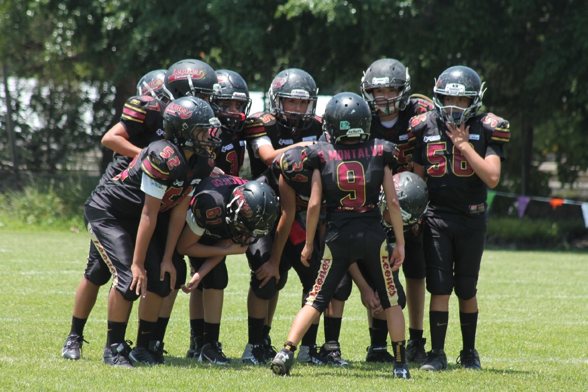 Leones Cuernavaca está en postemporada de la ONEFA