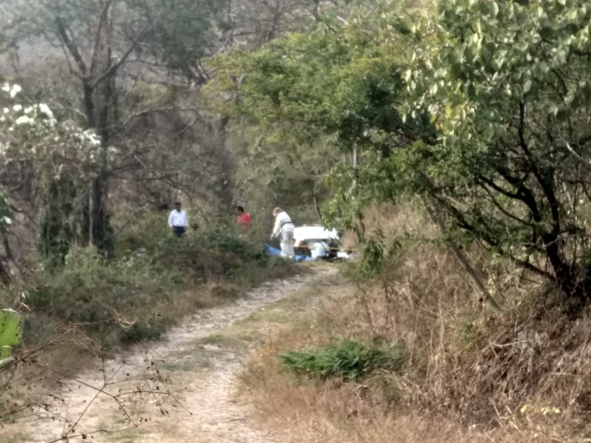 Hallan cadáver en la colonia Ejidos de Chapultepec