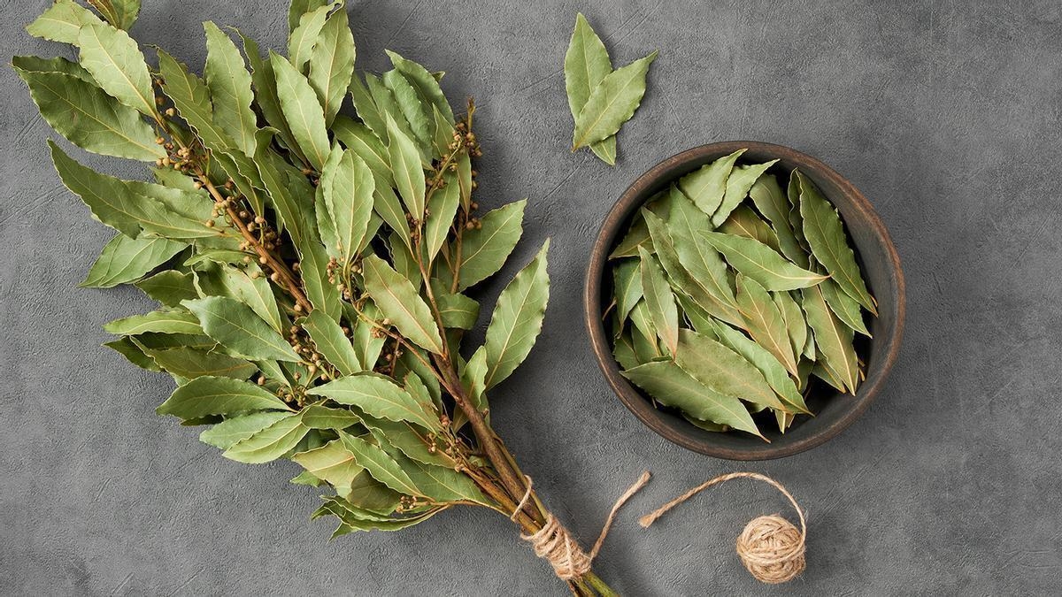 ¿Por qué las personas ponen una hoja de laurel debajo de su almohada?