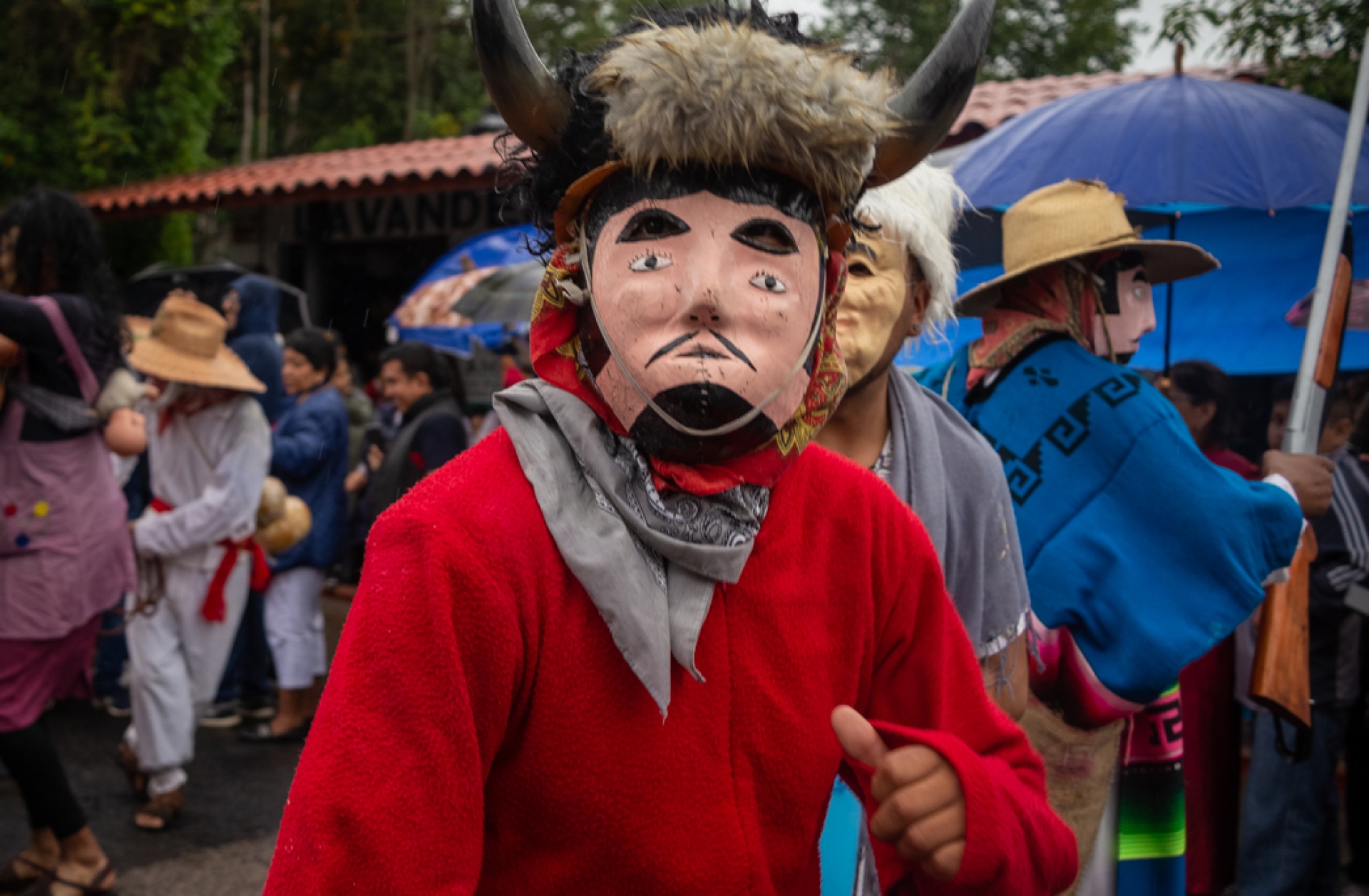 HUEHUENCHES