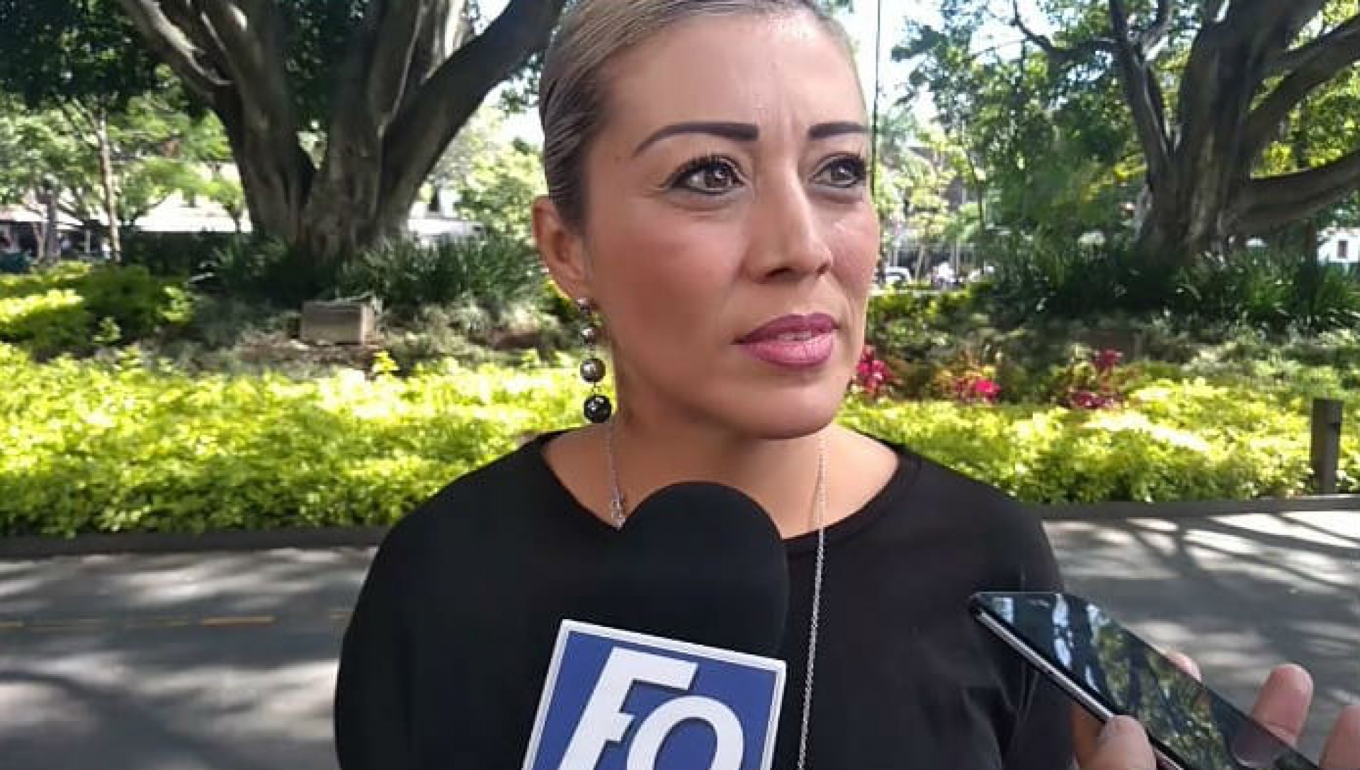 Confirman que trabajo de Comité de Participación Ciudadana del SEA está detenido