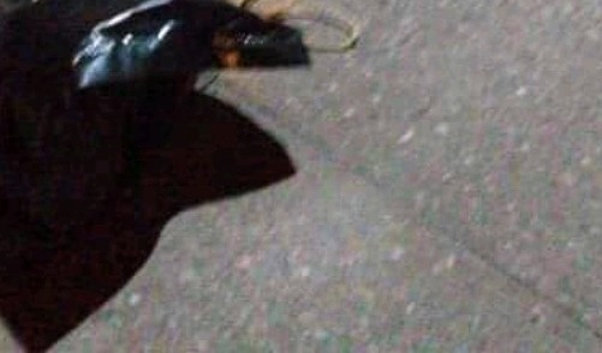 Tras asesinar a un hombre, llamaron a su familia para avisarle de la ubicación del cuerpo