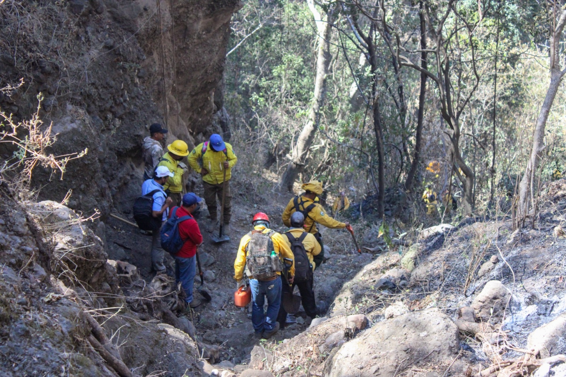 35% de control del incendio forestal en cerro del 'Tlatoani', en Tlayacapan