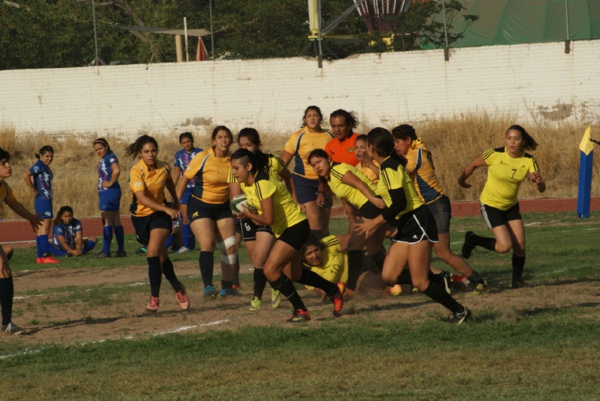 Mal día para el rugby morelense en la Olimpiada Nacional