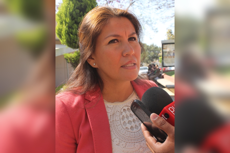 Análisis del Presupuesto Económico 2016 se realizará en noviembre
