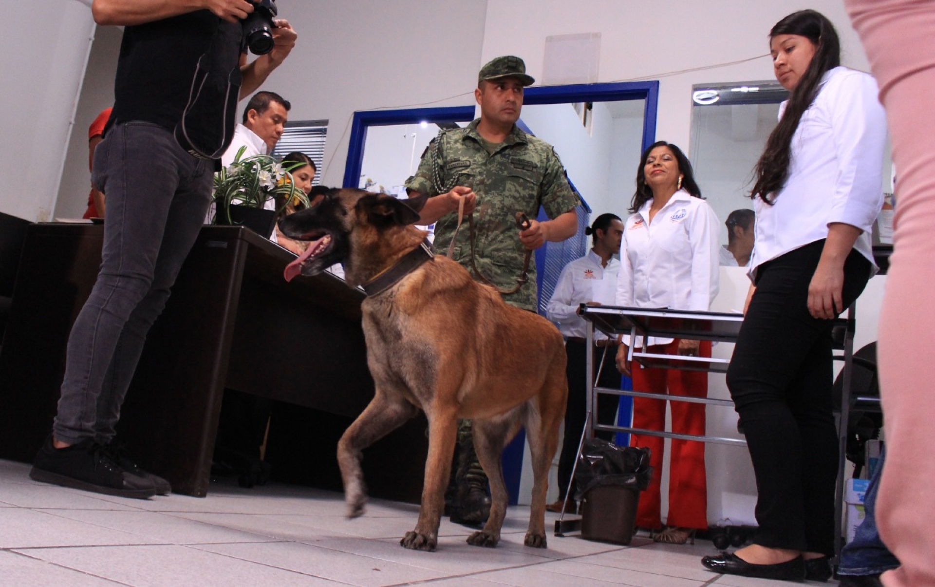 Efectúan operativo en SAPAC para detectar explosivos y drogas sintéticas