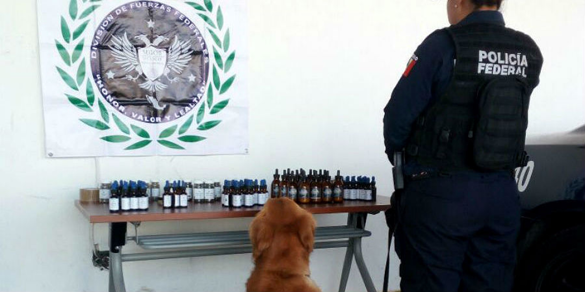 Asegura PF, en Mérida, frascos con cannabis y suplementos alimenticios provenientes de Morelos