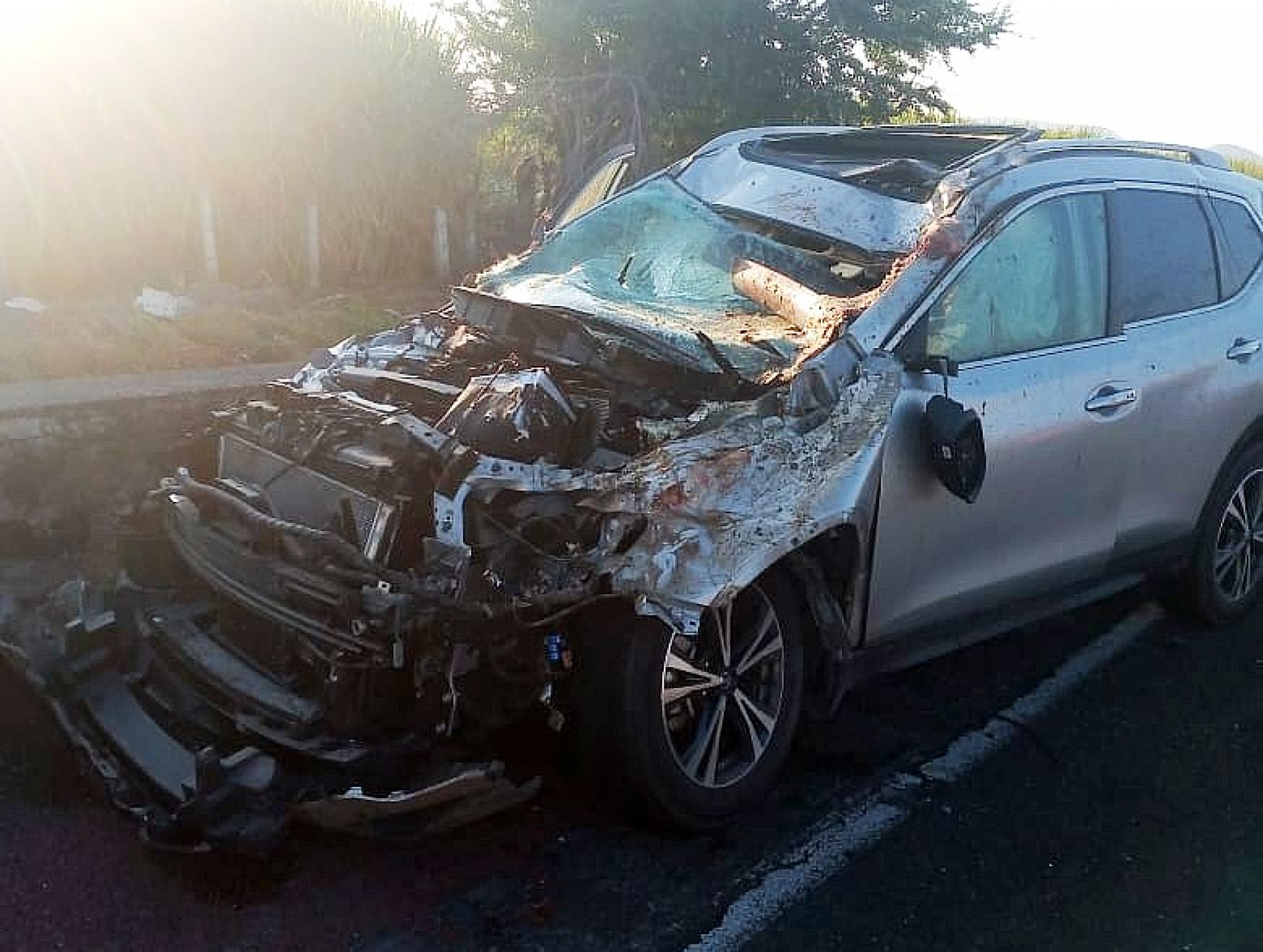 Dos conductores heridos tras chocar contra ganado en la autopista México-Acapulco