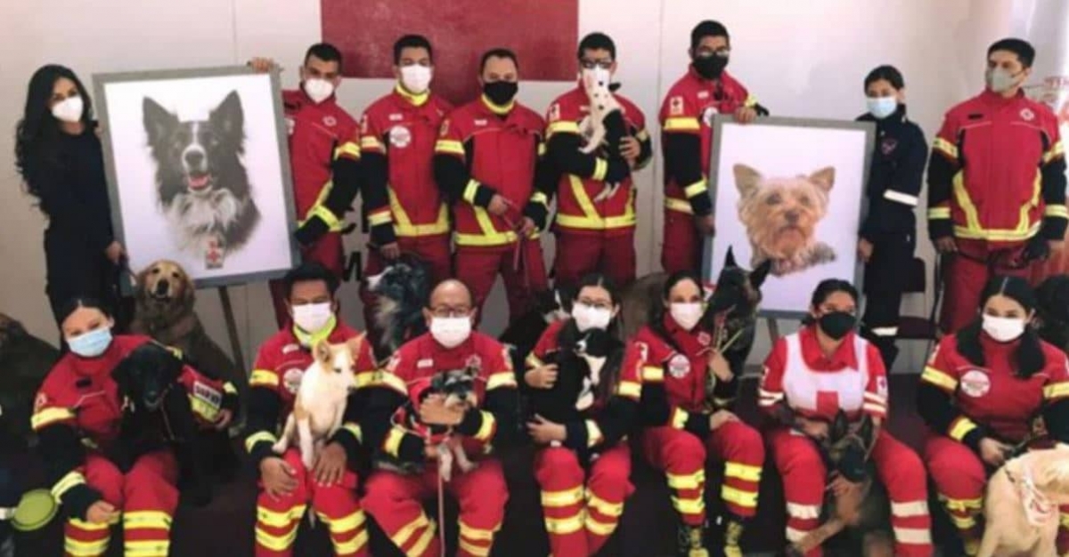 Detienen a hombre que mató a perritos rescatistas de la Cruz Roja