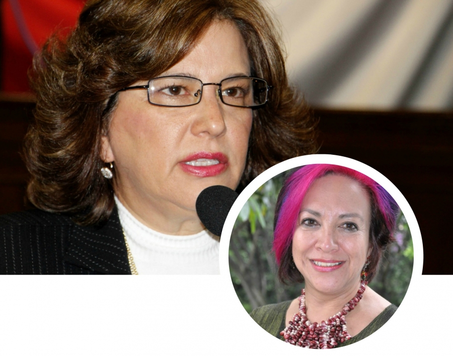 Teresa Domínguez, nueva directora del Instituto de la Mujer