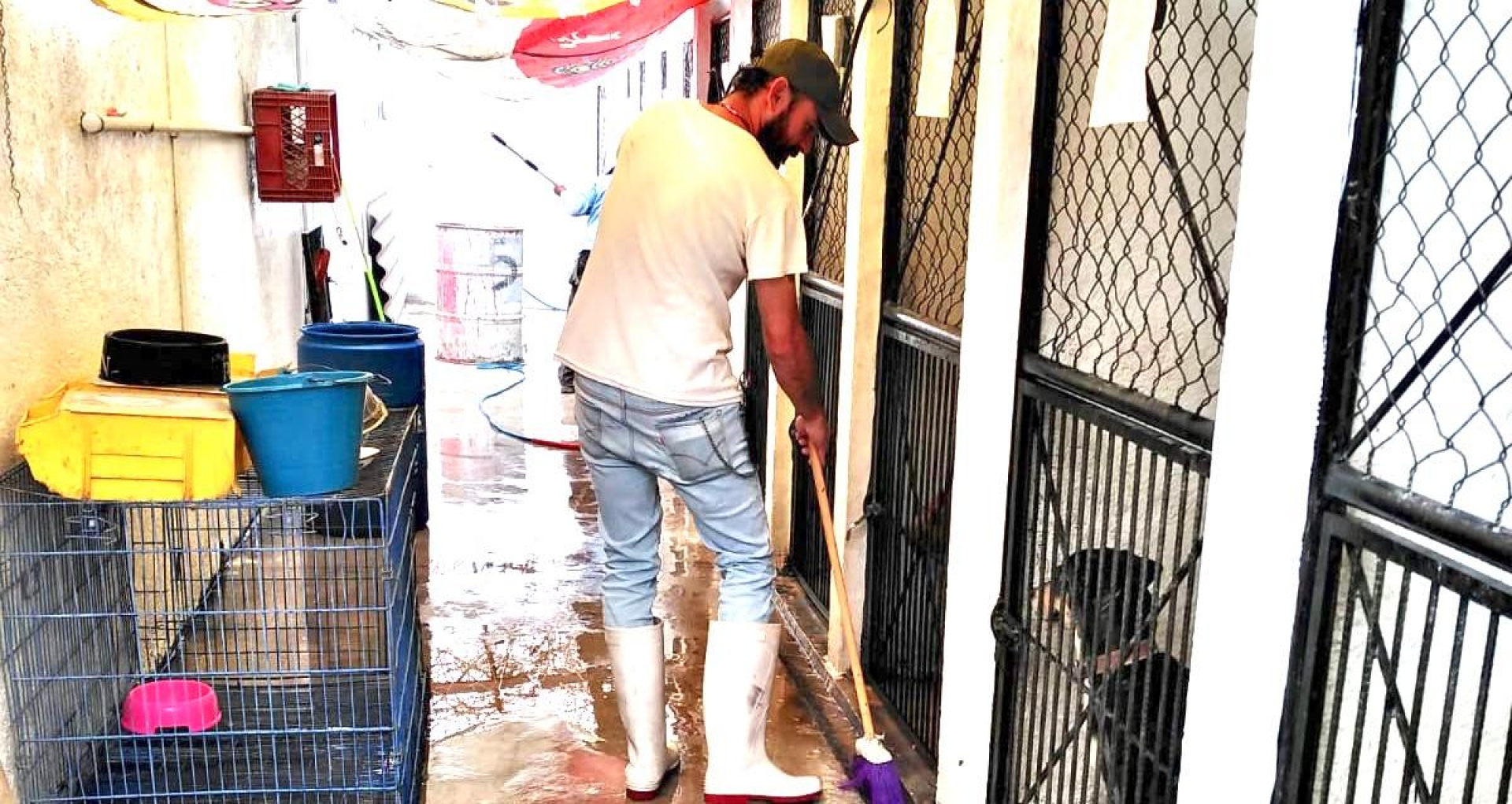 Refieren autoridades condiciones dignas en centro de acopio canino de Cuernavaca