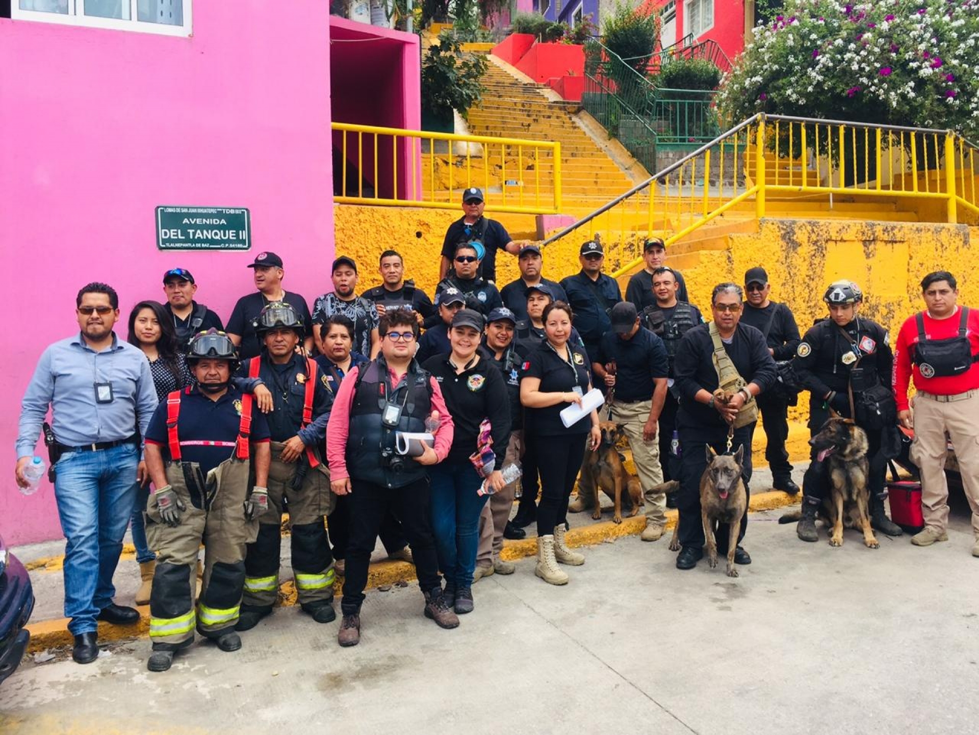 Con binomio canino, colabora FGE en búsqueda de persona en el Edomex