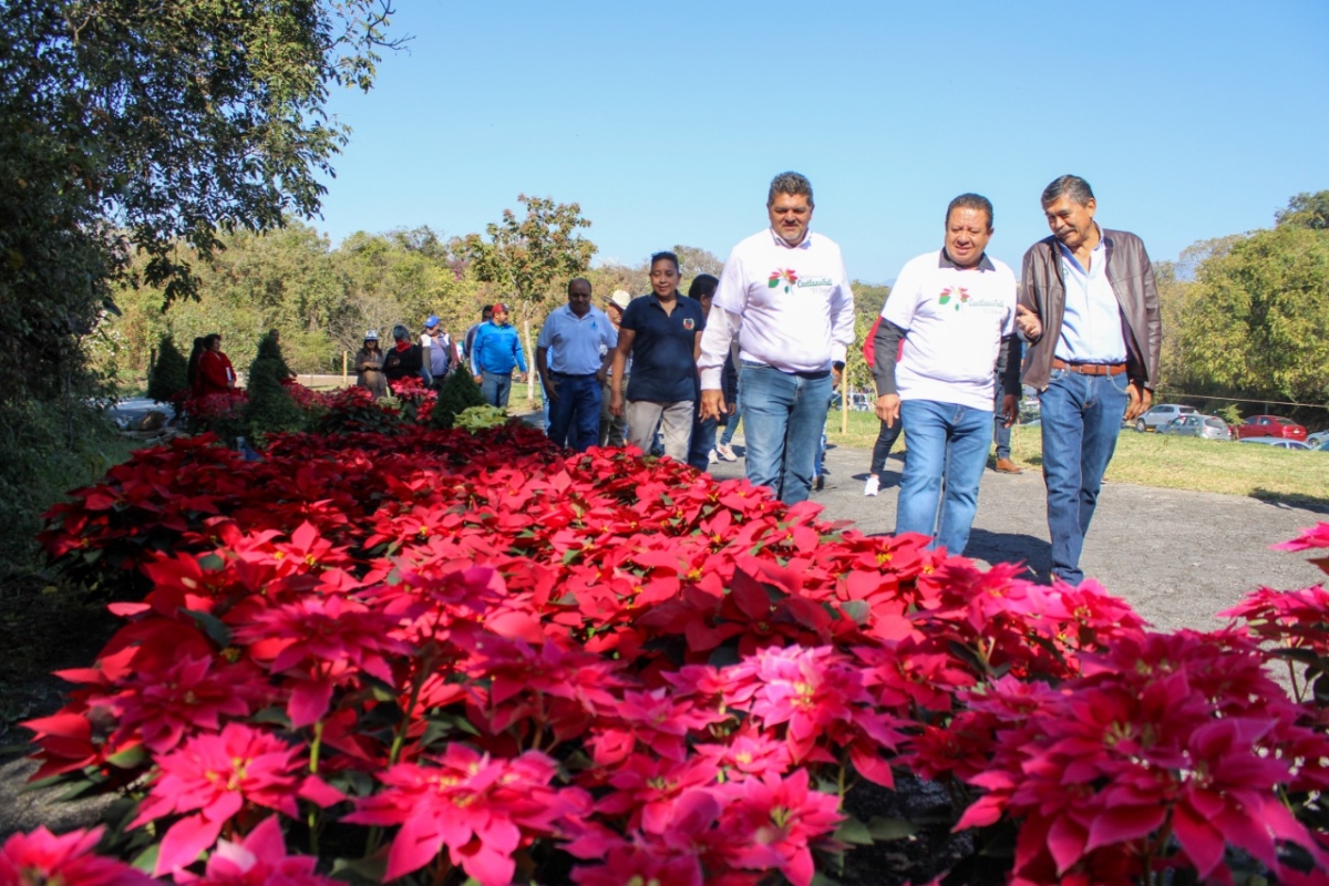 Inaugura José Luis Galindo 'Festival de la Flor de Cuetlaxochitl de El Texcal'