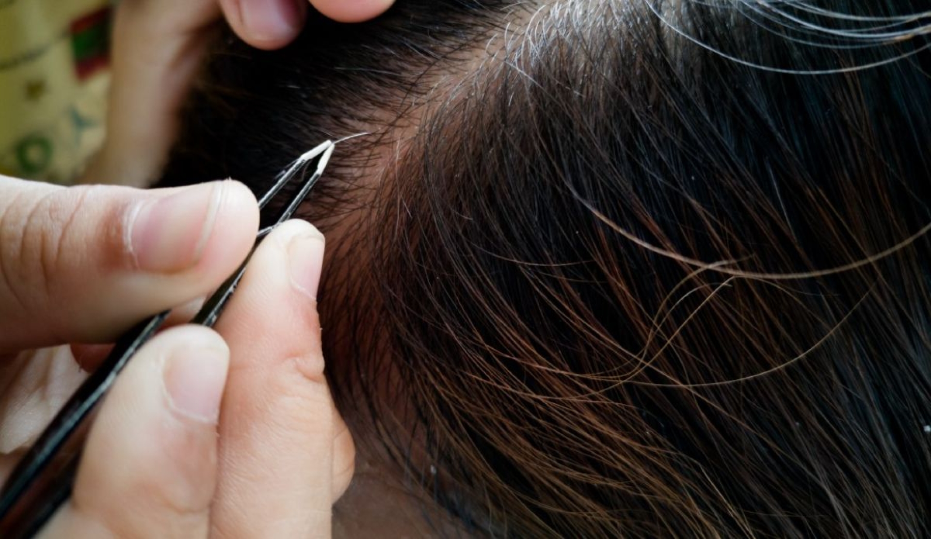 Razones para no arrancar una cana del cabello