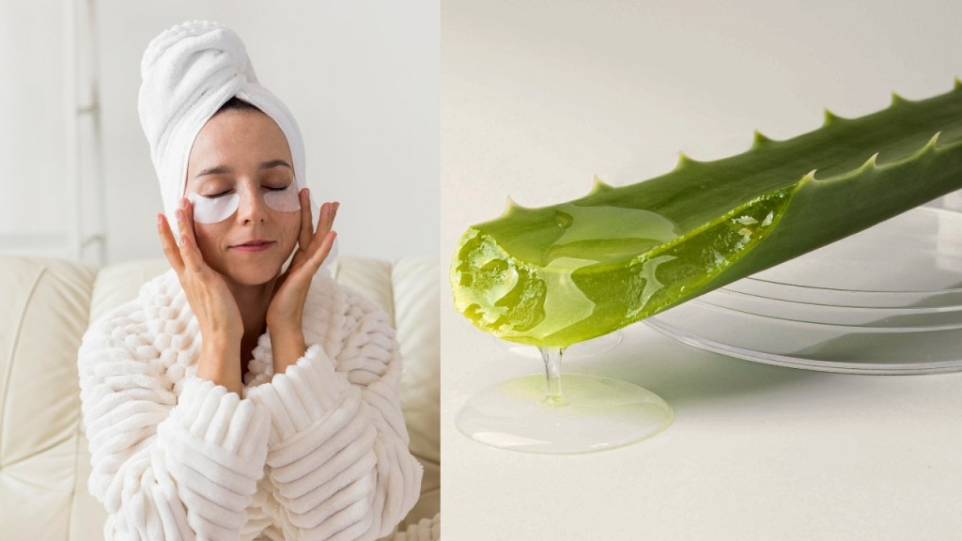 ¿Cómo eliminar las ojeras con aloe vera? Aplica este tratamiento