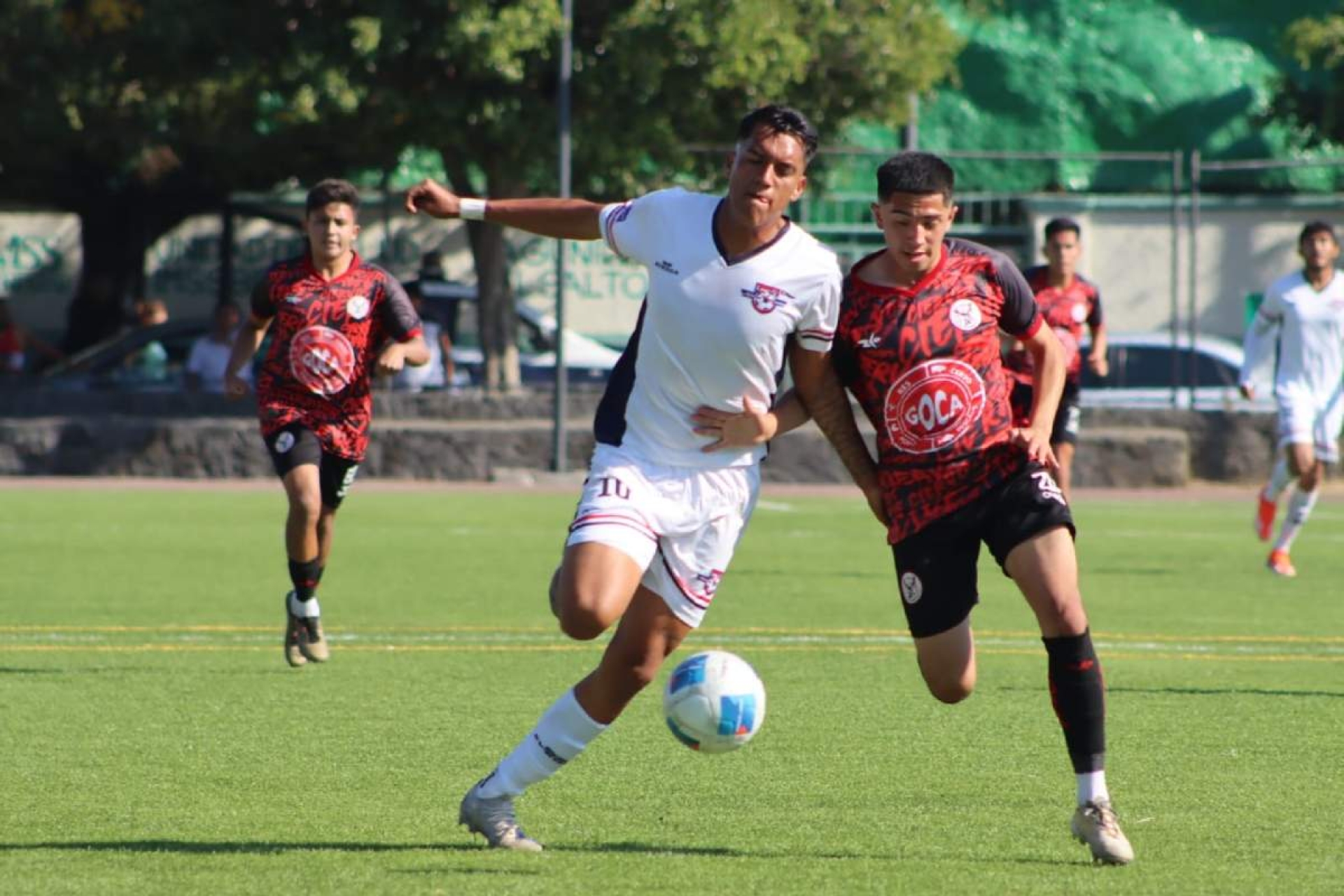 Cazan Ciervos