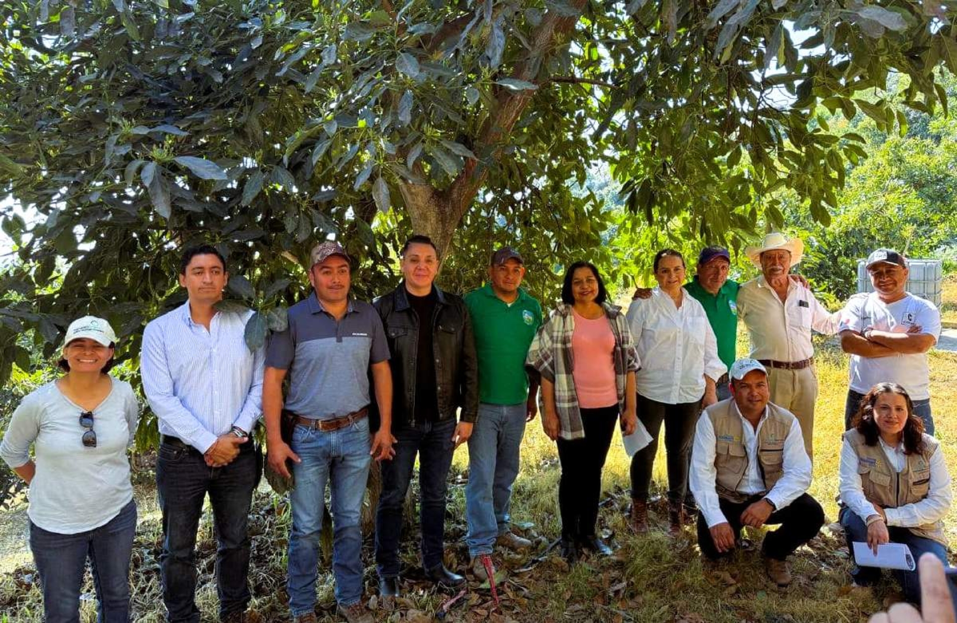 Aguacateros de Ocuituco, respaldados por René Jacobo y la Sedagro