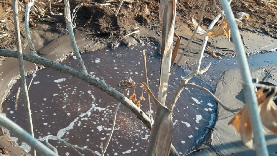 Pide funcionario universitario estudiar el impacto del derrame de gasolina en Ocotepec
