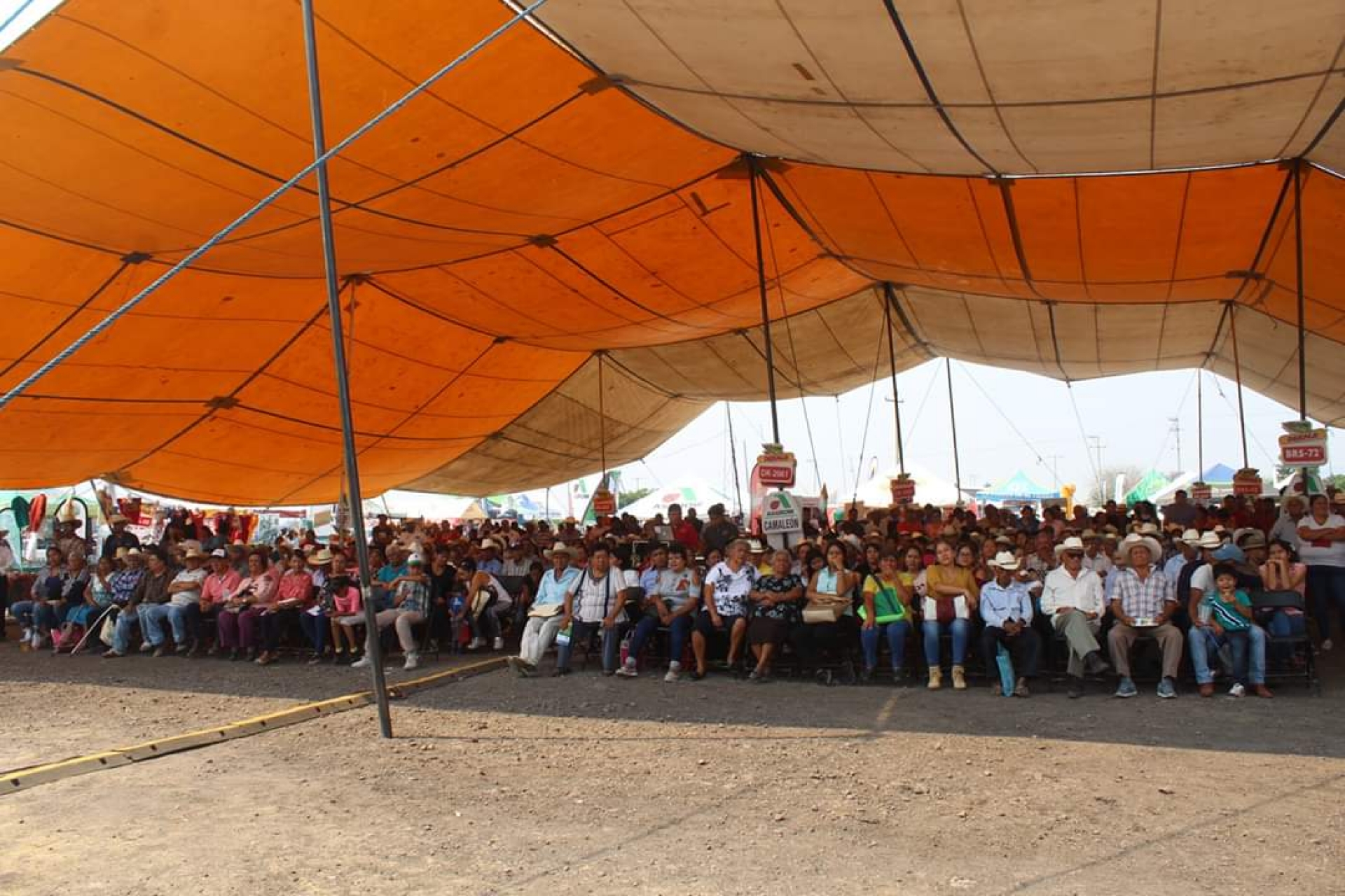 Se realiza Primera Expo Agro Jantetelco 2019