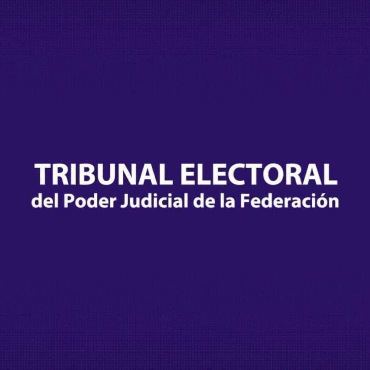 TEPJF establece límites a contienda en Morena  