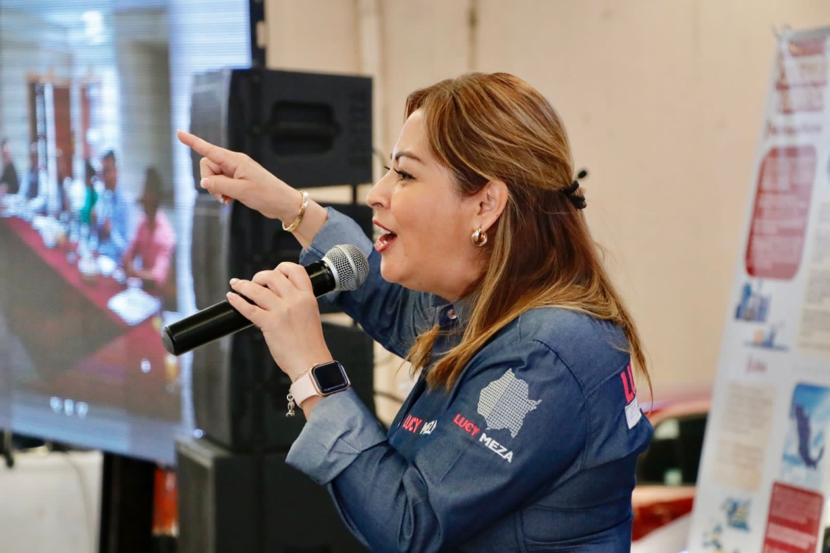 México contará con Registro Nacional de Deudores Alimentarios: Lucía Meza