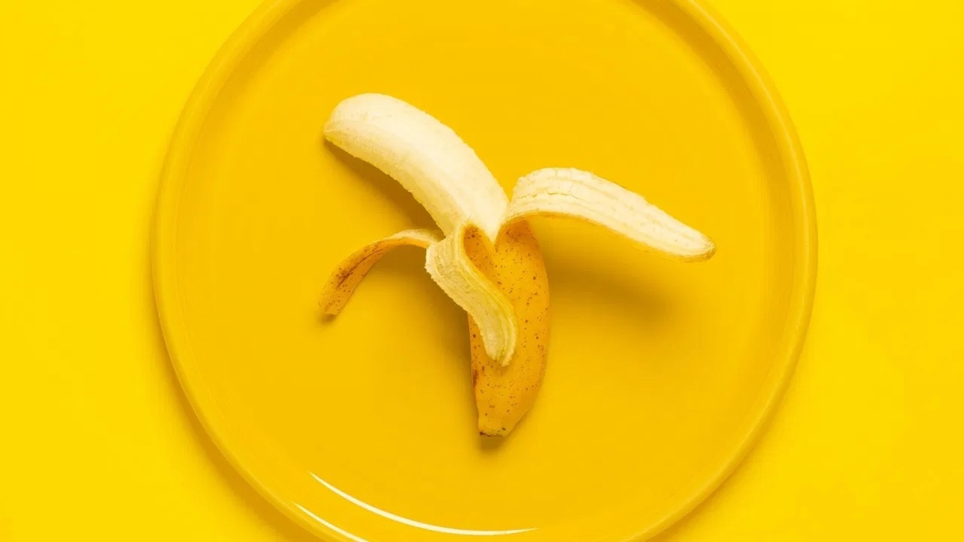 ¿Tus plantas están tristes? Prepara esta agua de plátano para llenarlas de nutrientes