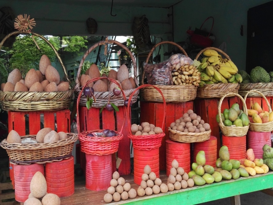 Anuncian la primera Feria de la Frutas Tropicales en Coatlán del Río