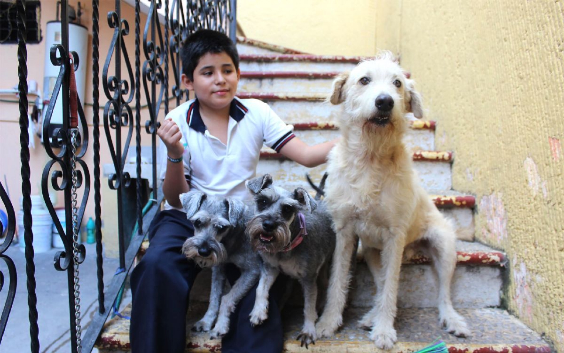 La historia del mal llamado Pelucho o Peluchín