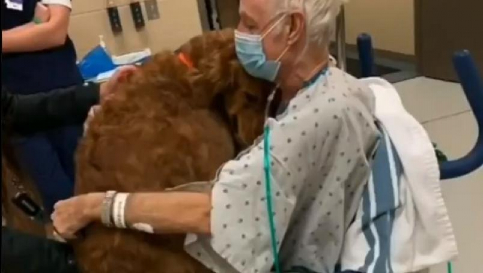 Perro se reencuentra con su dueño en el hospital
