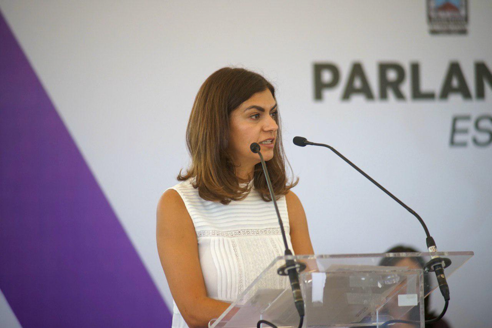 Presenta diputada Ana Cristina Guevara su renuncia al grupo parlamentario de MC