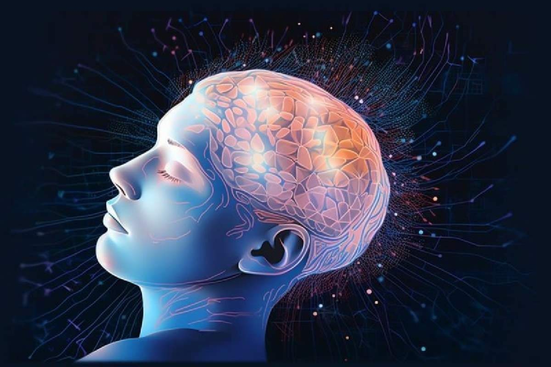Nuevos conocimientos sobre el sueño revelan mecanismos con amplias implicaciones para aumentar la capacidad cerebral