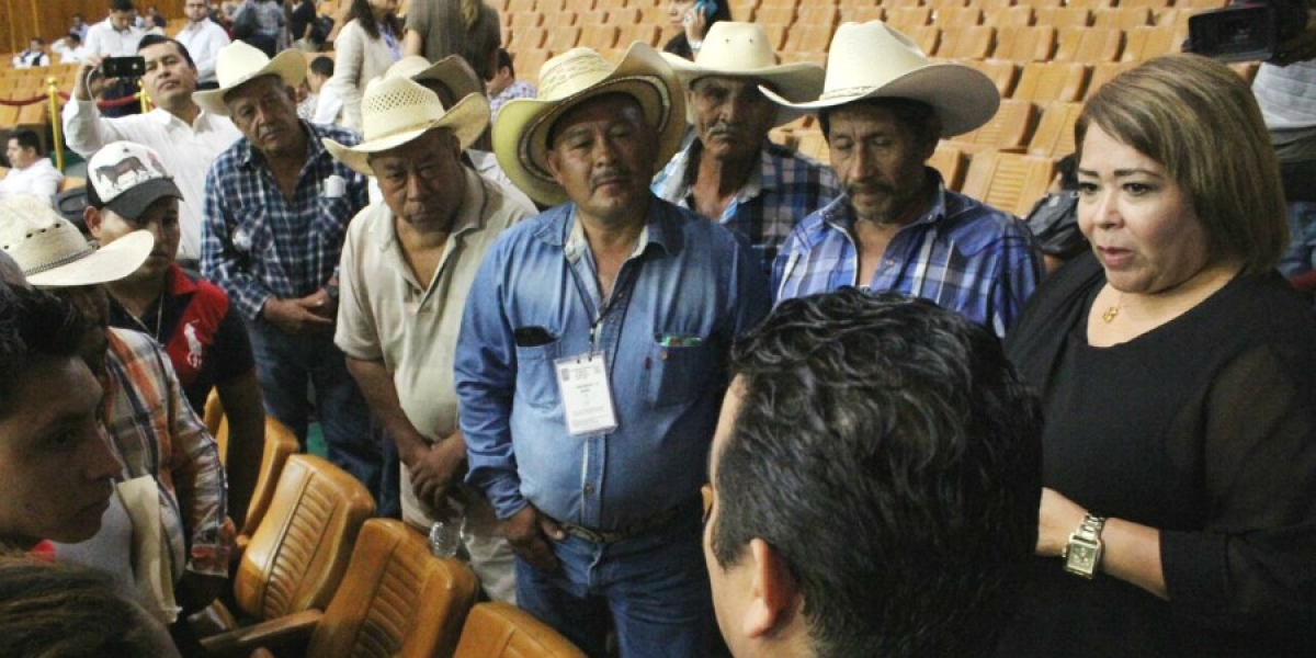 Productores afectados por incendio pidieron apoyo a diputados