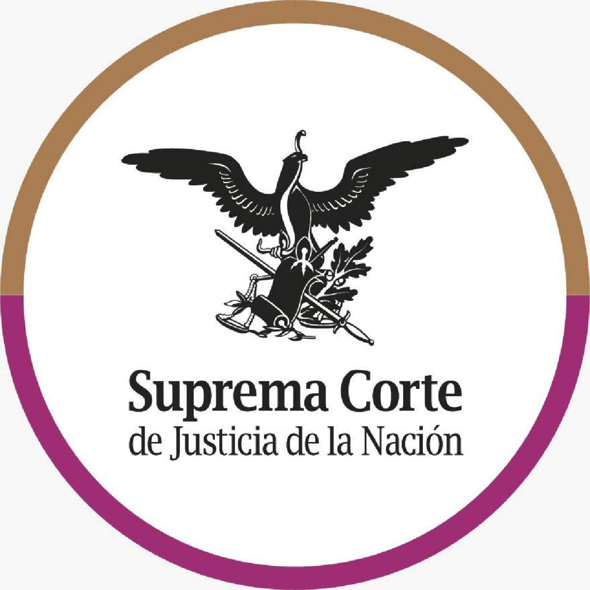 Adultos mayores tienen derecho a recibir pensión de hijos fallecidos