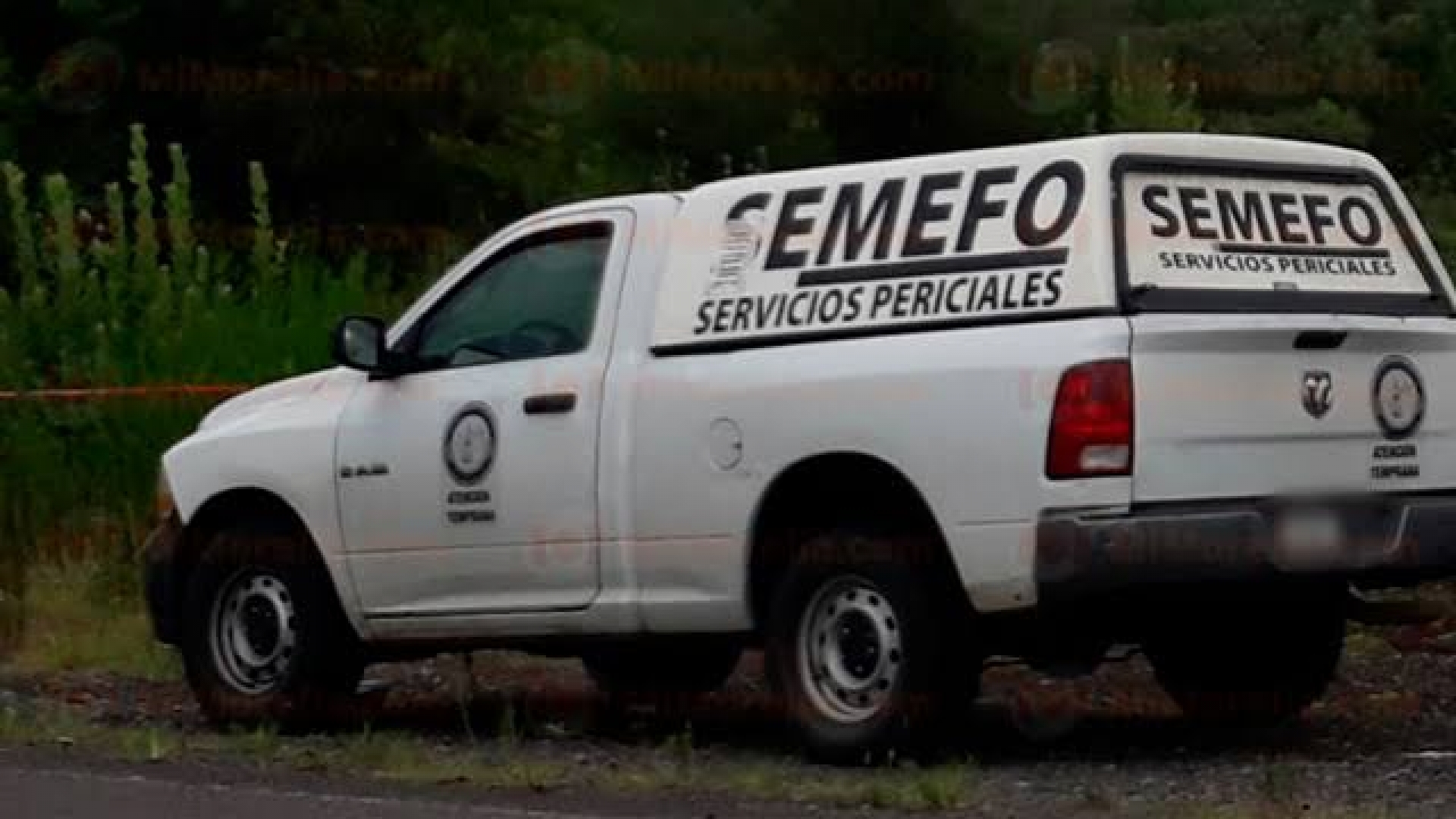 Matan a un joven en Zacatepec