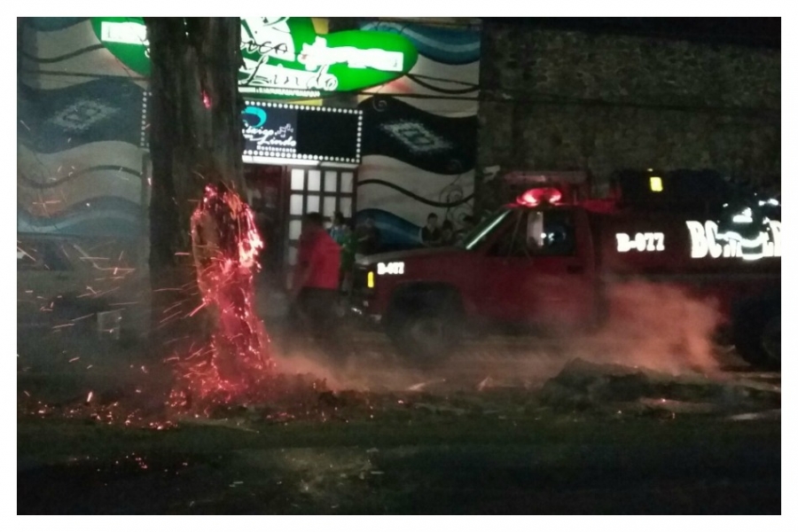 Se incendia un árbol en Blvd. Juárez