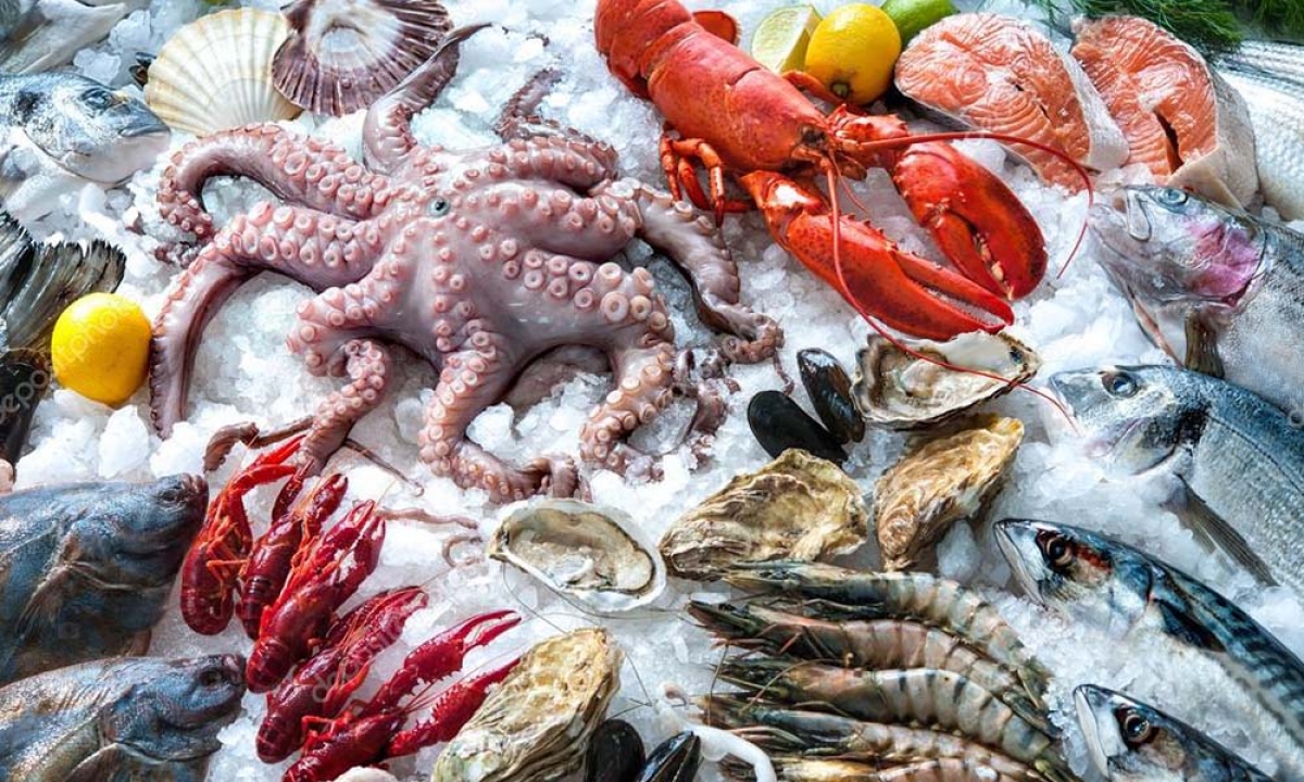 Profeco difunde precio de pescados y mariscos; ve en cuánto están
