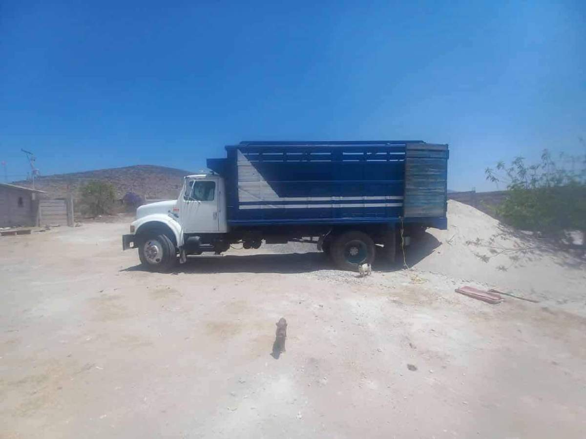 Roban camión de carga en Xoxocotla