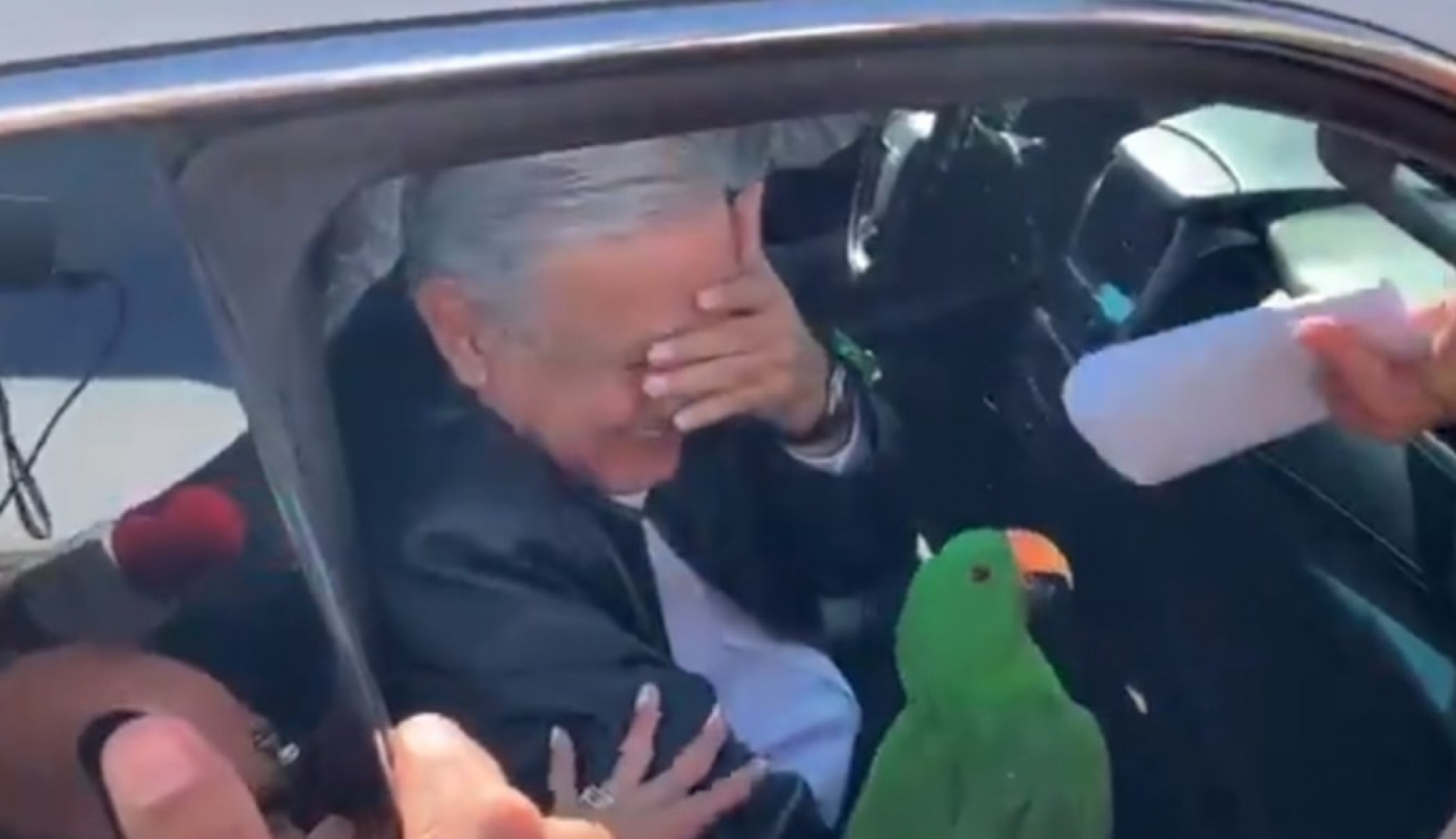 Regalan perico a AMLO