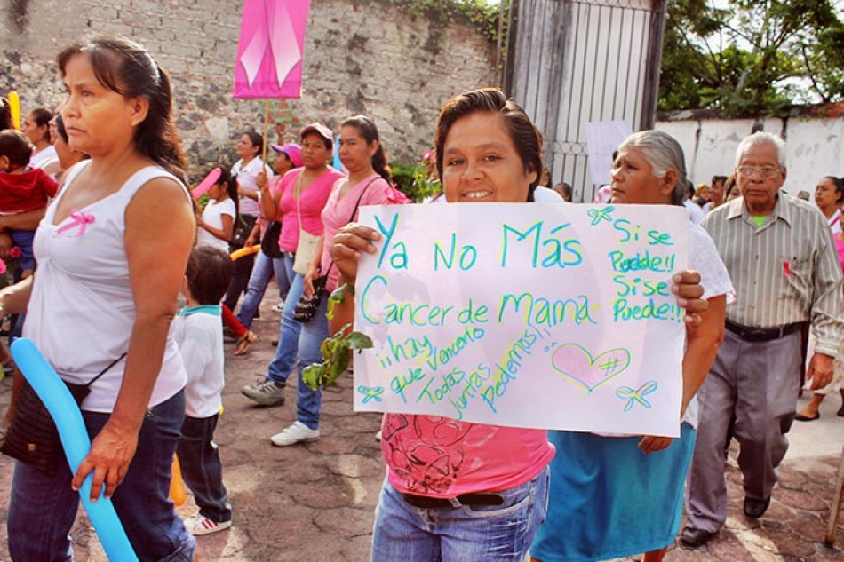 Breves del sur