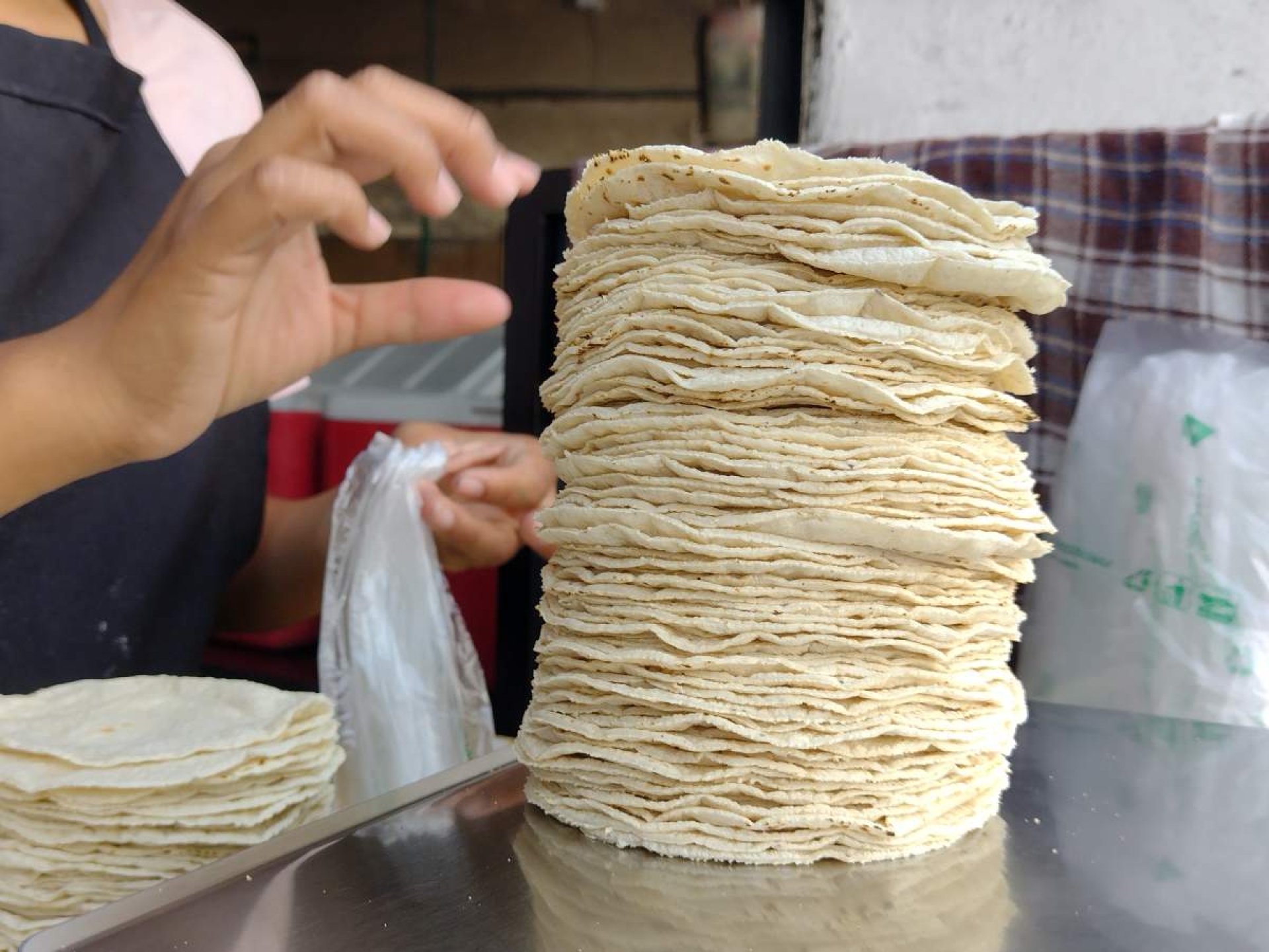 Descartan aumentos en precio de la tortilla