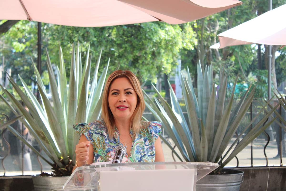 Necesaria en Morena, la unidad interna: Lucía Meza