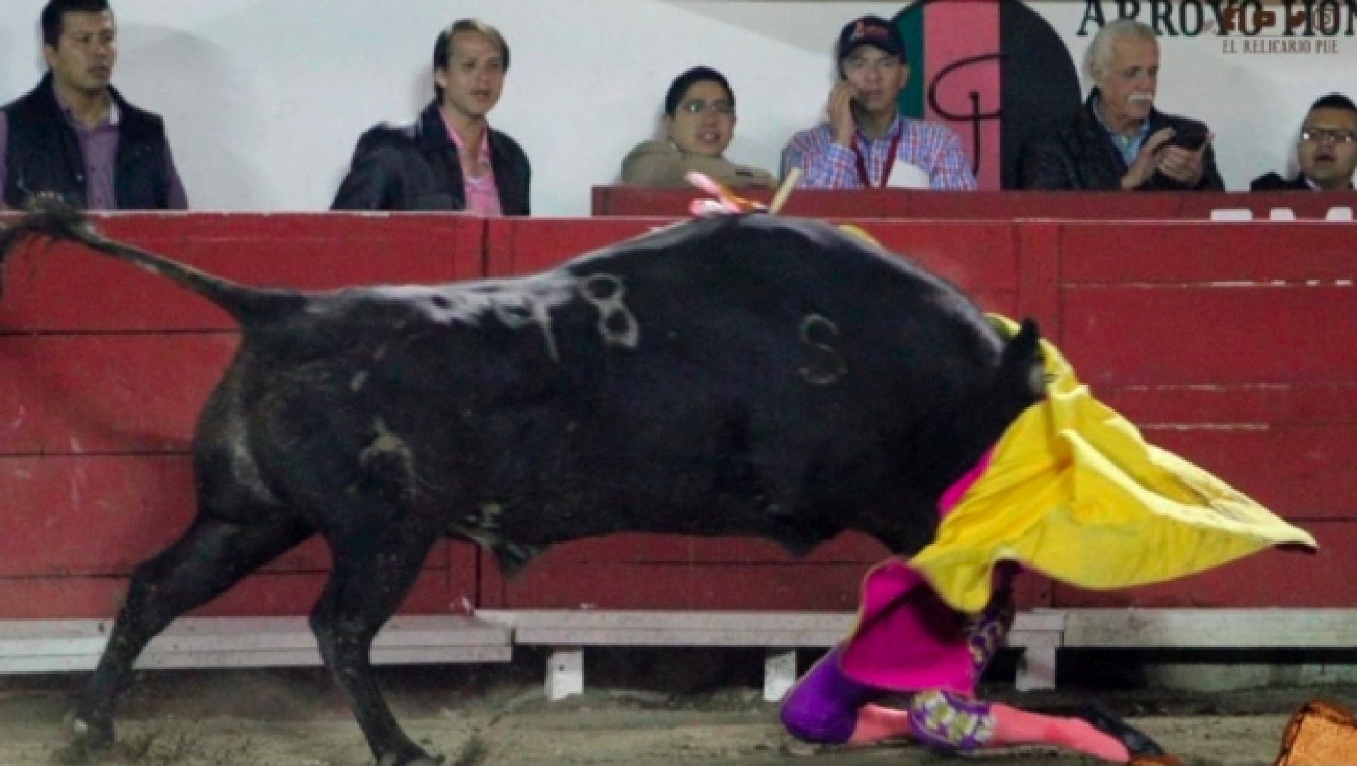 Toro destroza mandíbula a Hilda Tenorio en Puebla