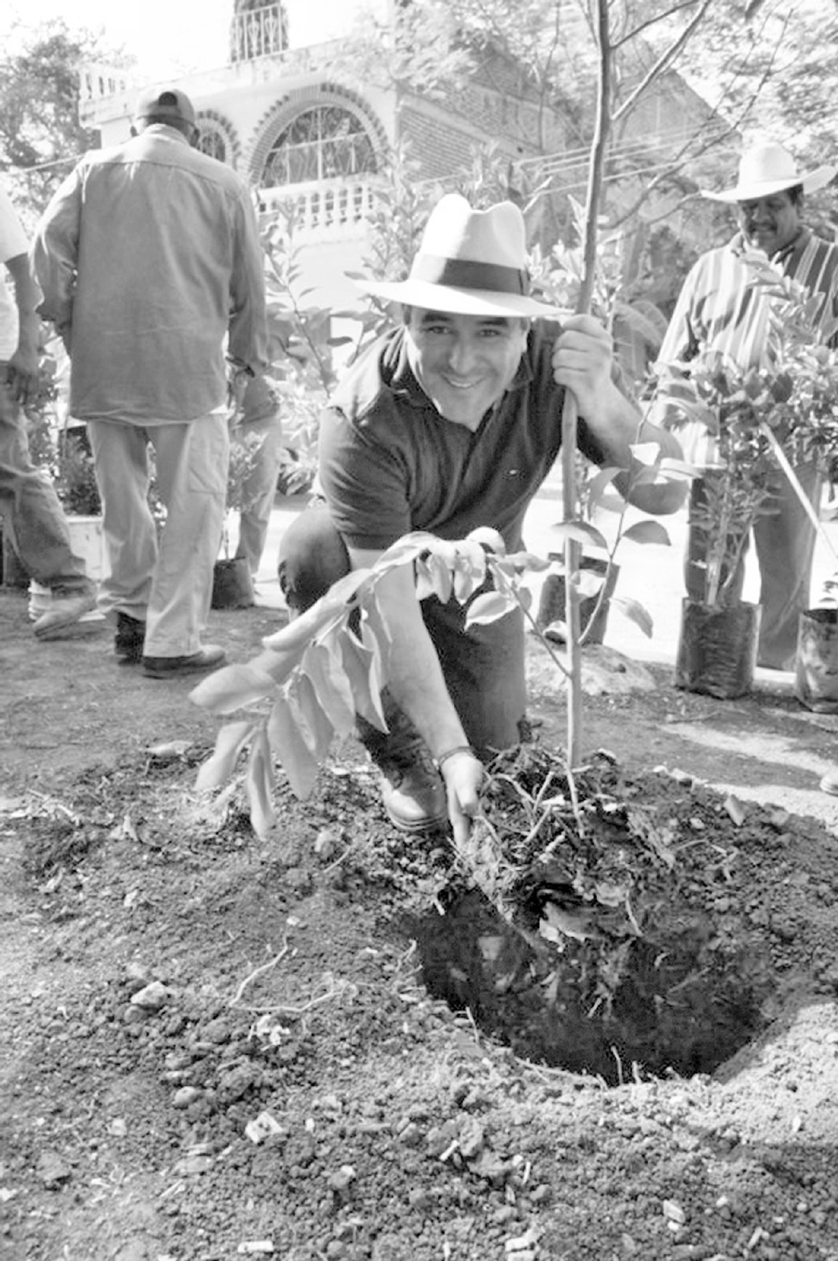 Reforestan la colonia Vicente Estrada Cajigal de Yautepec